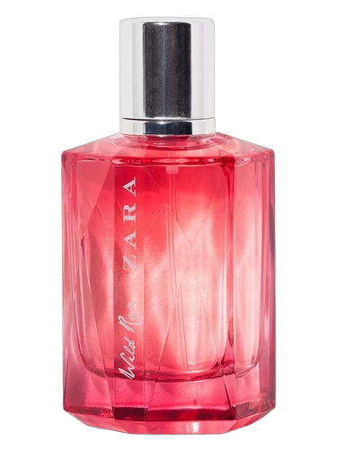 Wild Rose