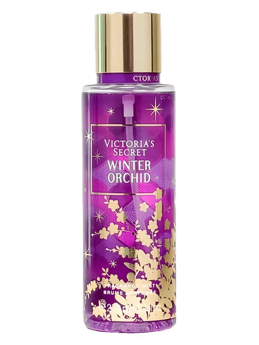 Winter Orchid