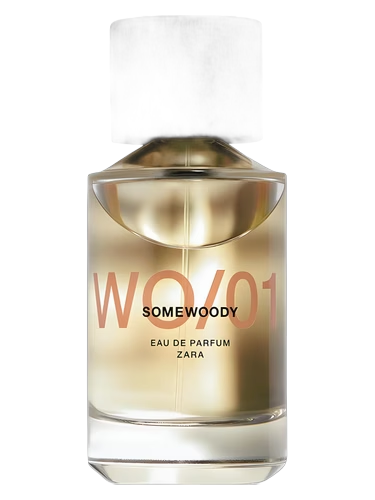 WO/01 Somewoody