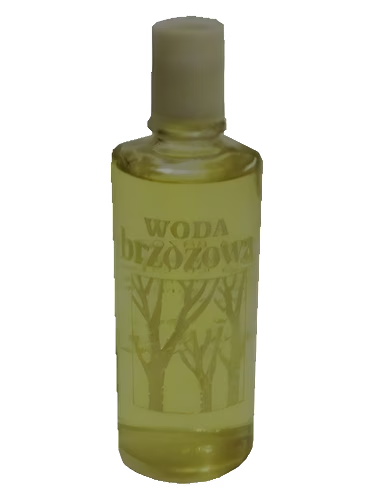 Woda brzozowa