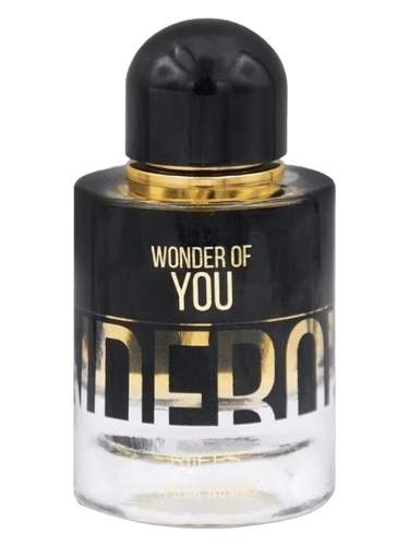 Wonder of You Men