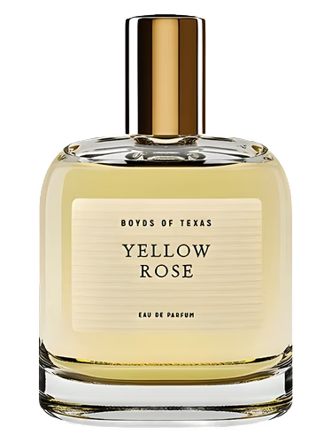 Yellow Rose