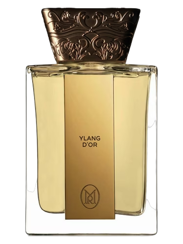 Ylang d’Or