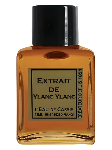 Ylang Ylang