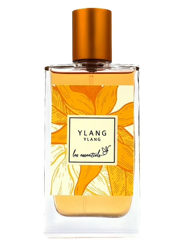 Ylang Ylang