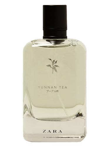 Yunnan Tea