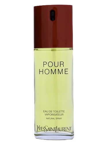 Yves Saint Laurent Pour Homme