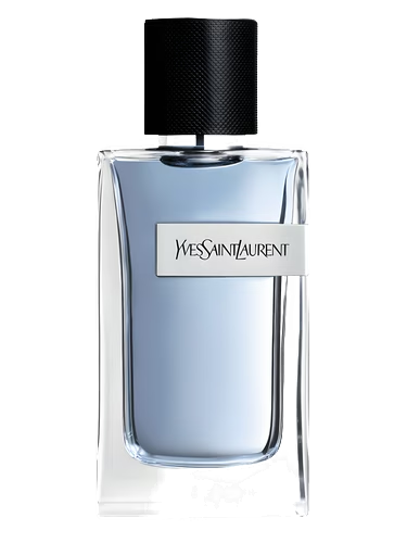 Yves Saint Laurent Y