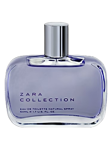 Zara Collection Woman