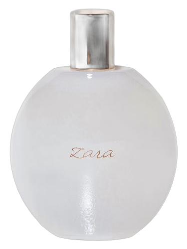 Zara Femme 2013