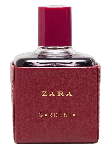 Zara Gardenia 2016