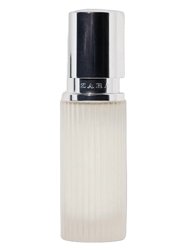 Zara Man Exclusive Fragrances Cologne