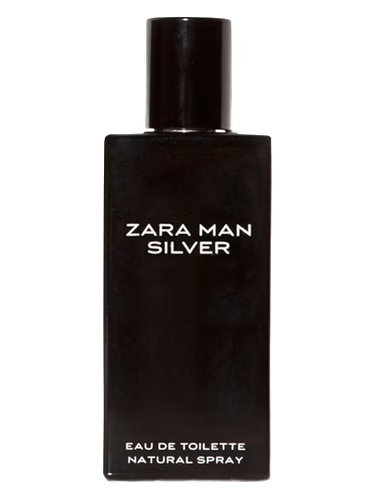 Zara Man Silver