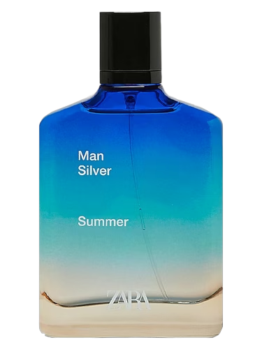 Zara Man Silver Summer 2020