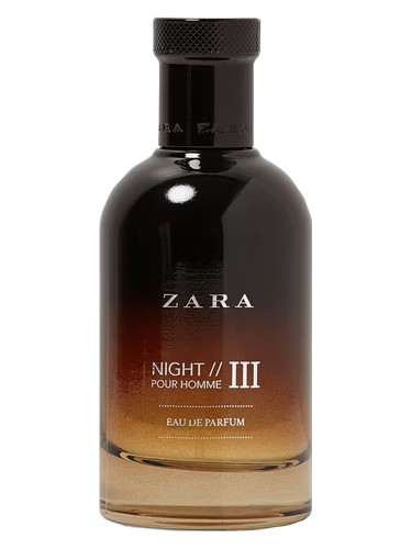Zara Night Pour Homme III