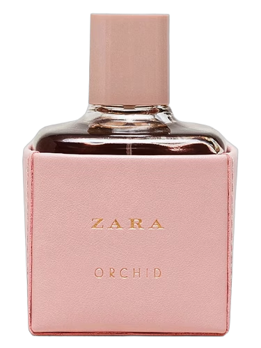 Zara Orchid 2016