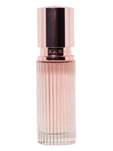 Zara Woman Rose Gold 2013