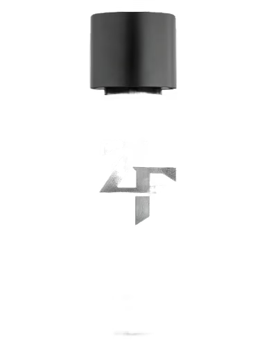 ZF Zé Felipe