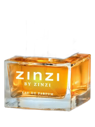 Zinzi