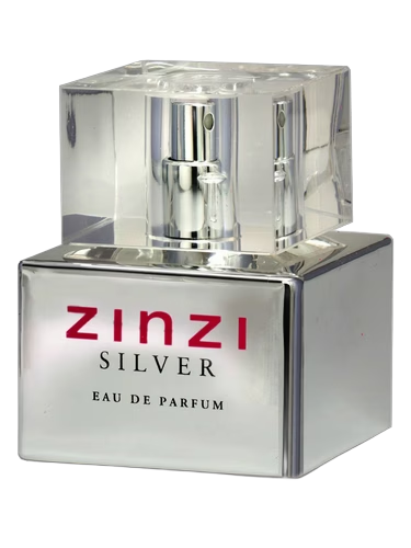 Zinzi Silver